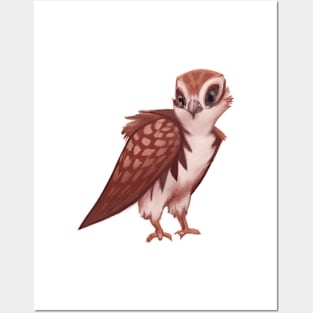 Cute Falcon Drawing Posters and Art